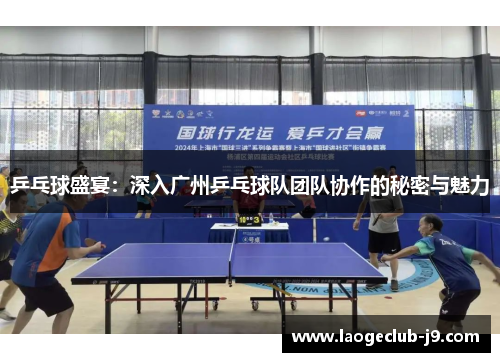 乒乓球盛宴：深入广州乒乓球队团队协作的秘密与魅力