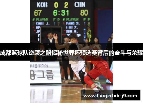 成都篮球队逆袭之路揭秘世界杯预选赛背后的奋斗与荣耀