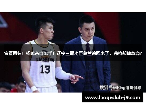 官宣回归！杨鸣亲自出手！辽宁三冠功臣莫兰德回来了，弗格却被放弃？
